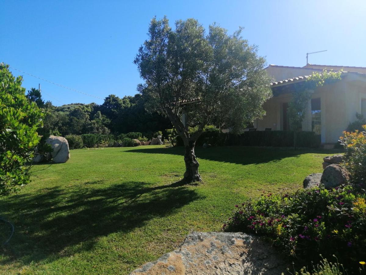 Agriturismo Fioredda Aglientu Εξωτερικό φωτογραφία