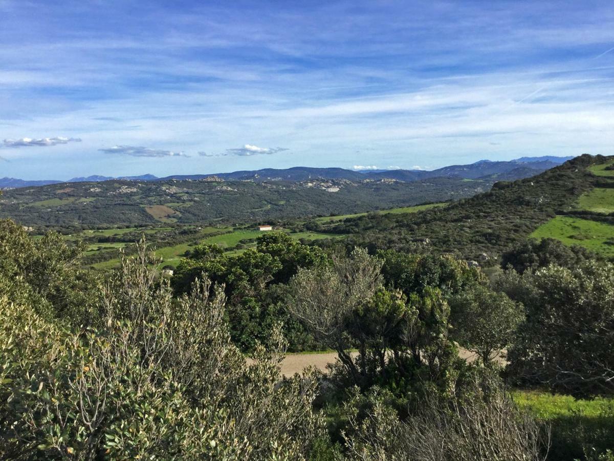 Agriturismo Fioredda Aglientu Εξωτερικό φωτογραφία